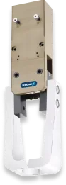 PRG
