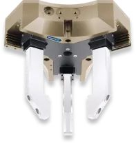 PZH-plus