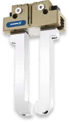 PGN-plus-P