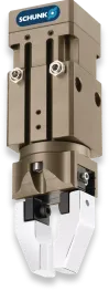 GSM-P