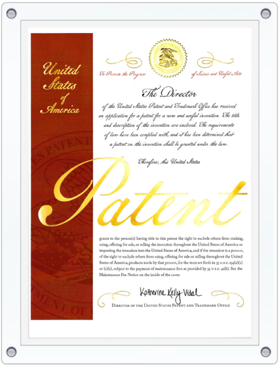 dng_patent_3