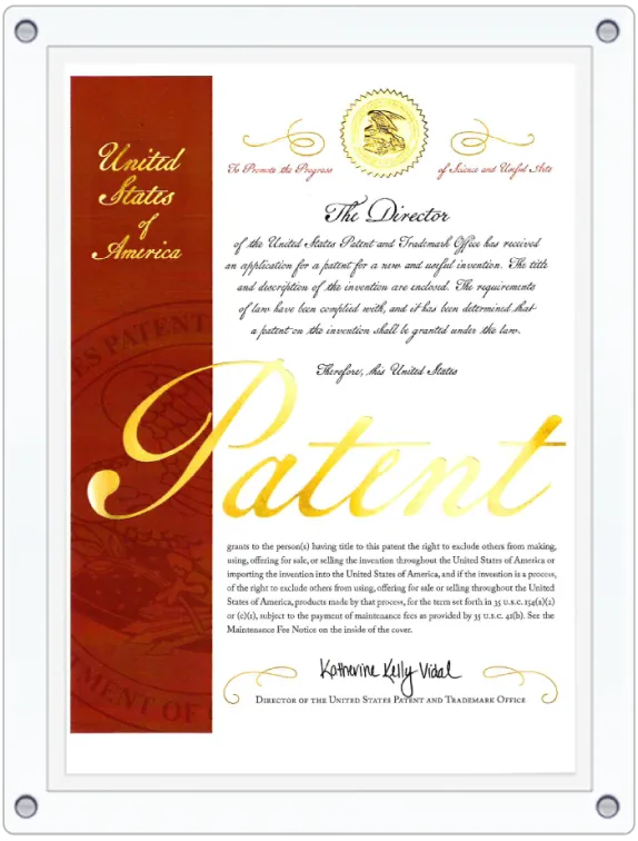 dng_patent_3
